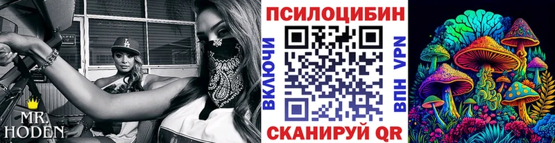 blacksprut вход  Вольск  Галлюциногенные грибы мицелий 